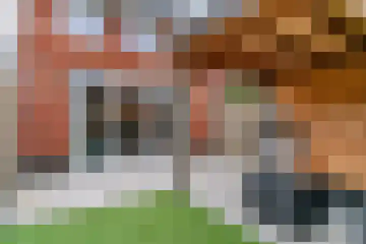 Scholekster 10 Uithoorn thumbnail 28