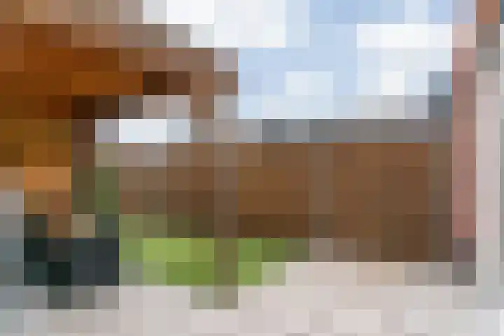 Scholekster 10 Uithoorn thumbnail 29