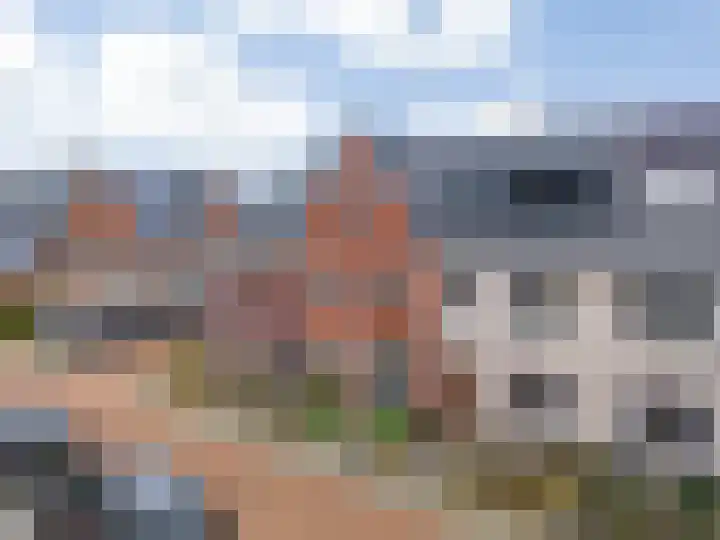 Scholekster 10 Uithoorn thumbnail 30