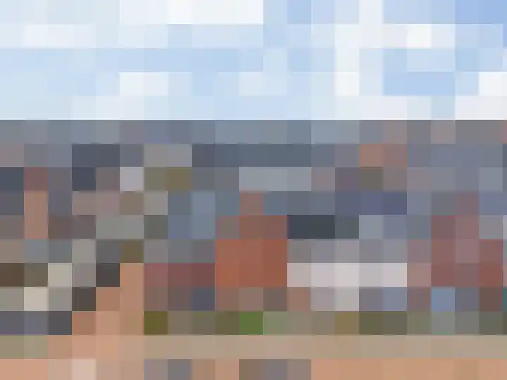 Scholekster 10 Uithoorn thumbnail 31