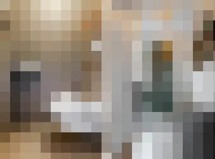 Scholekster 10 Uithoorn thumbnail 4