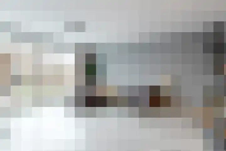 Scholekster 10 Uithoorn thumbnail 6