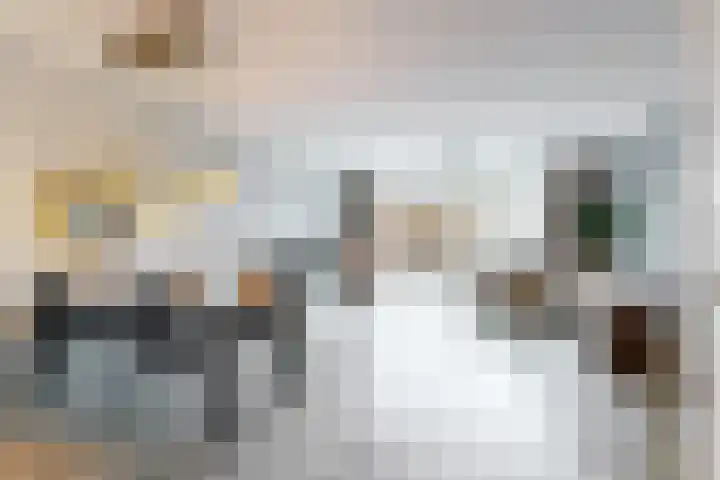 Scholekster 10 Uithoorn thumbnail 7