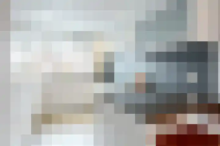 Scholekster 10 Uithoorn thumbnail 9