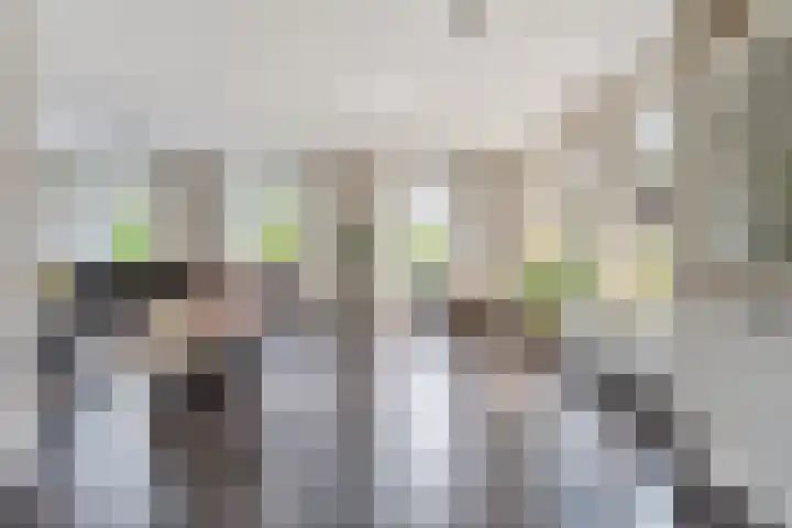 Scholekster 13 Tubbergen thumbnail 10