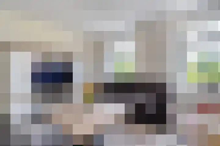 Scholekster 13 Tubbergen thumbnail 11