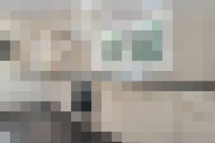 Scholekster 13 Tubbergen thumbnail 13