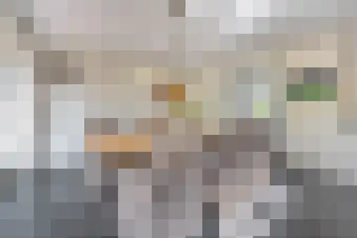 Scholekster 13 Tubbergen thumbnail 14