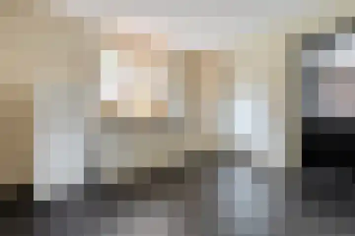 Scholekster 13 Tubbergen thumbnail 15