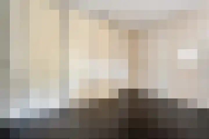 Scholekster 13 Tubbergen thumbnail 16