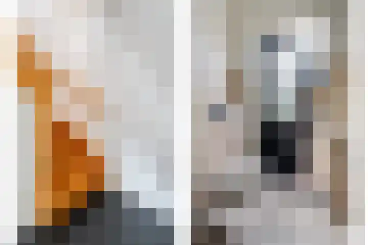 Scholekster 13 Tubbergen thumbnail 18