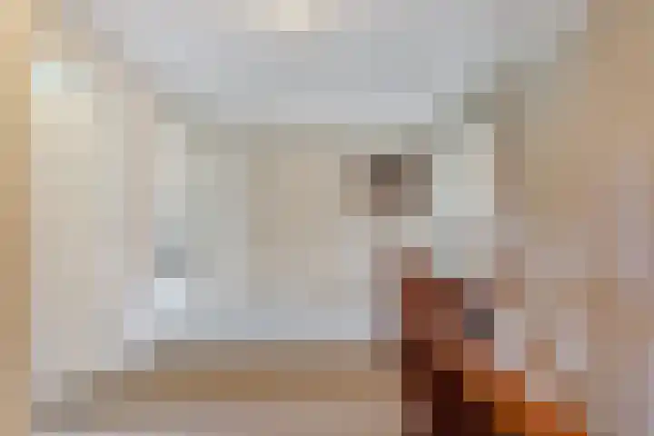 Scholekster 13 Tubbergen thumbnail 19