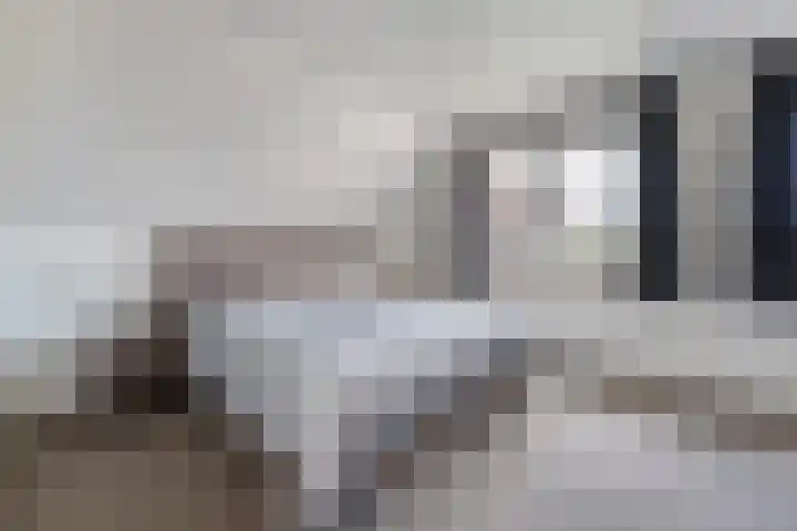 Scholekster 13 Tubbergen thumbnail 20
