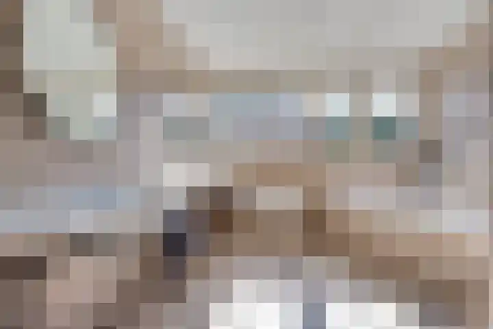 Scholekster 13 Tubbergen thumbnail 23