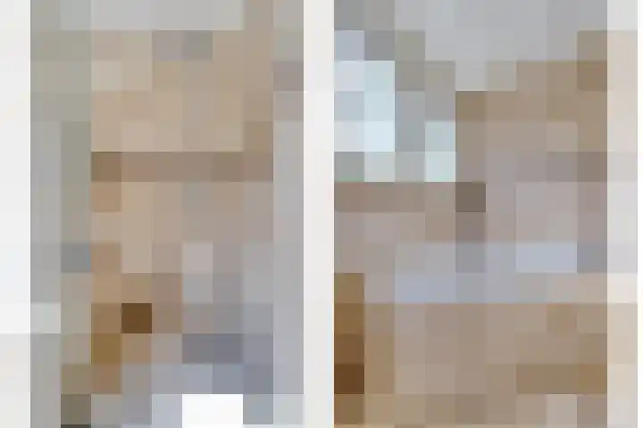 Scholekster 13 Tubbergen thumbnail 24