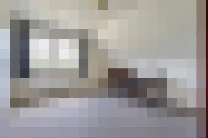 Scholekster 13 Tubbergen thumbnail 25