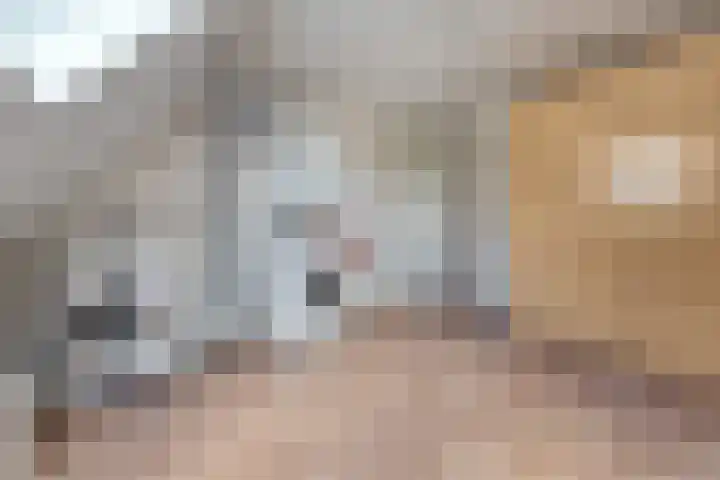 Scholekster 13 Tubbergen thumbnail 27