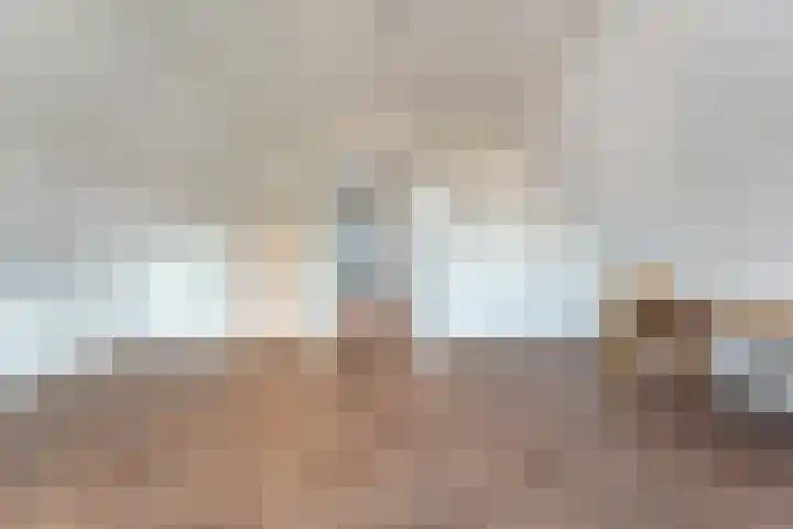 Scholekster 13 Tubbergen thumbnail 29