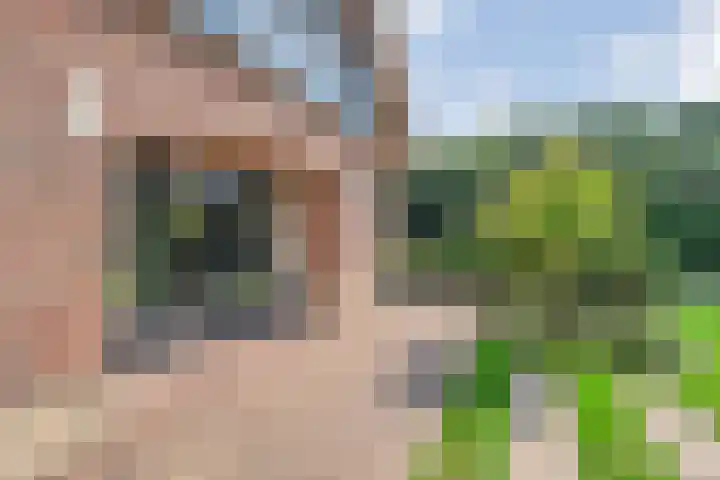 Scholekster 13 Tubbergen thumbnail 31
