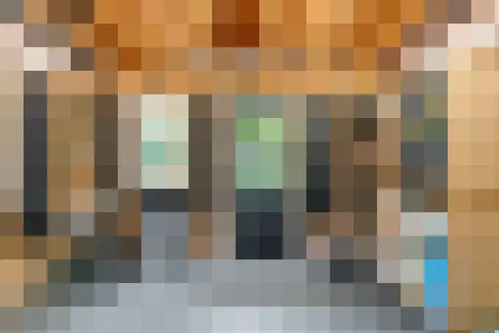 Scholekster 13 Tubbergen thumbnail 33