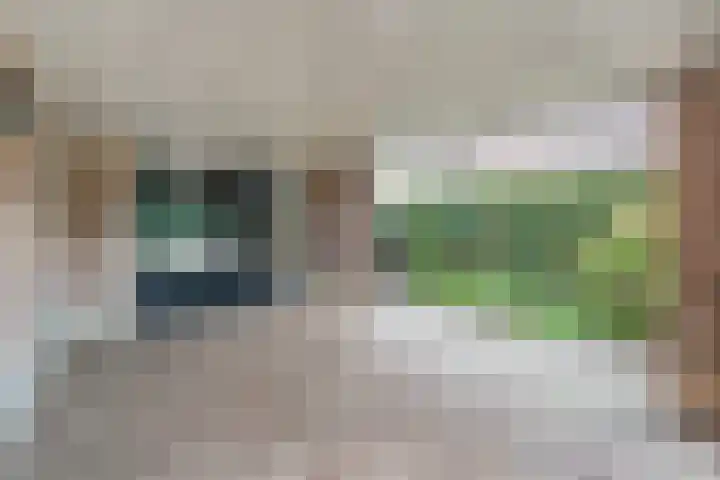 Scholekster 13 Tubbergen thumbnail 34
