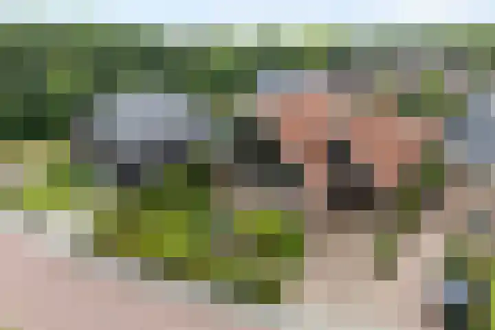 Scholekster 13 Tubbergen thumbnail 7