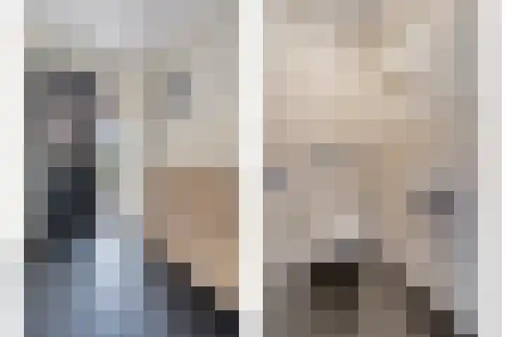 Scholekster 13 Tubbergen thumbnail 8