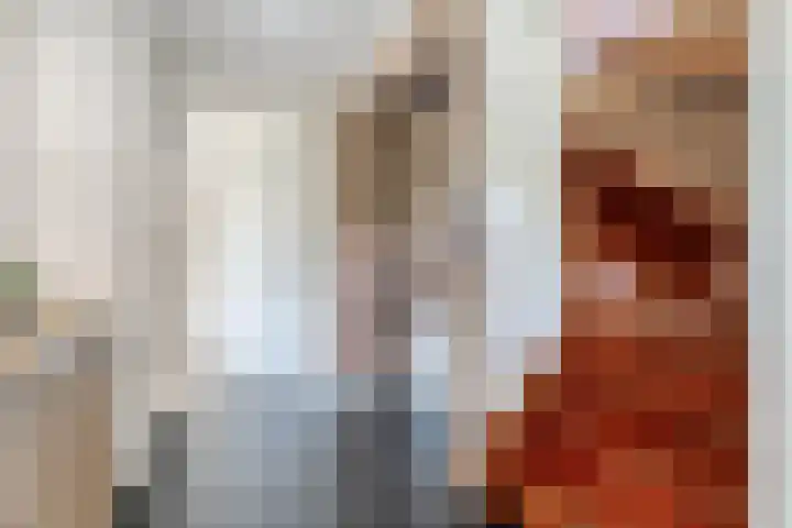 Scholekster 13 Tubbergen thumbnail 9