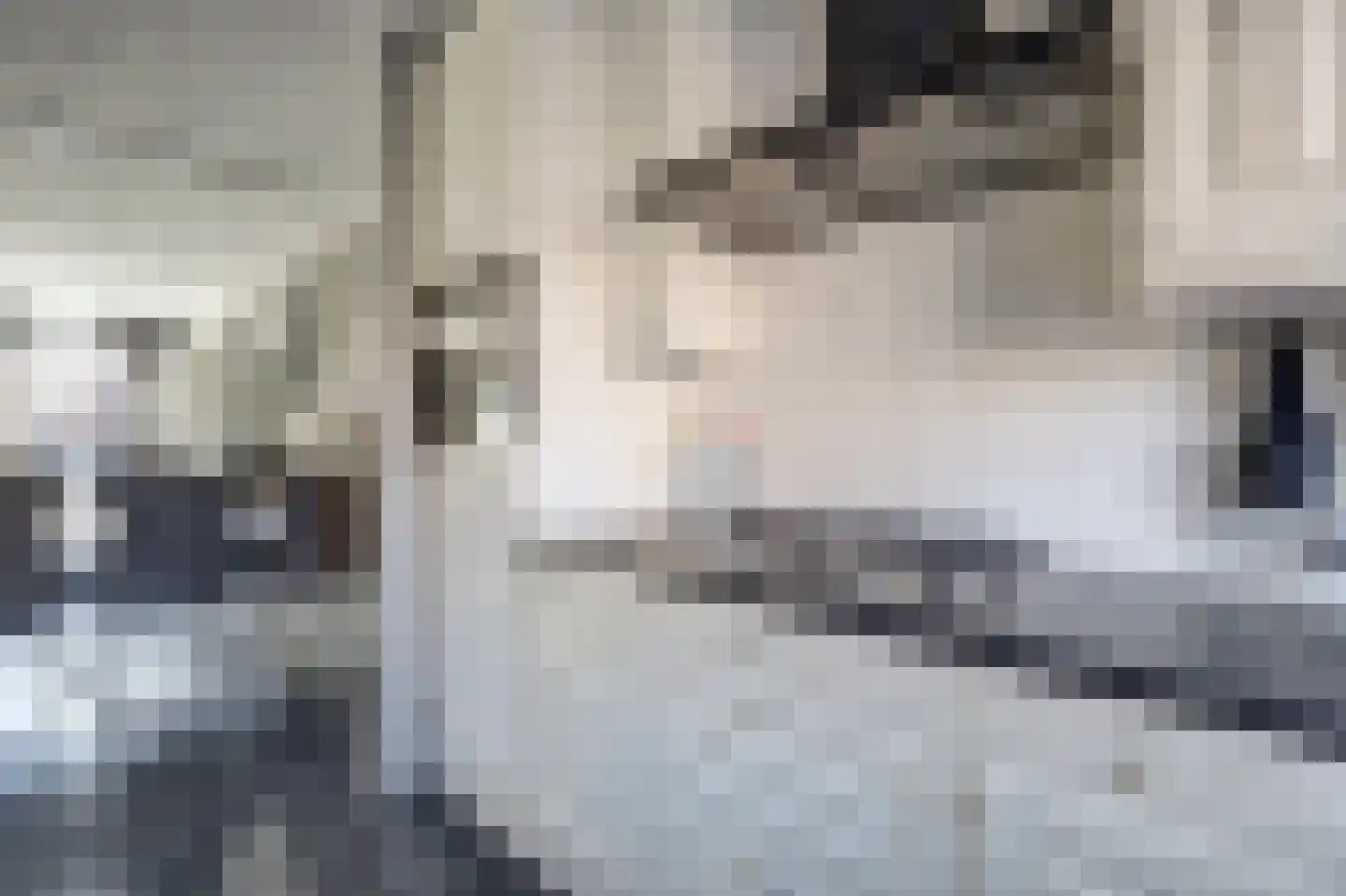 Scholekster 14 De Lier thumbnail 10