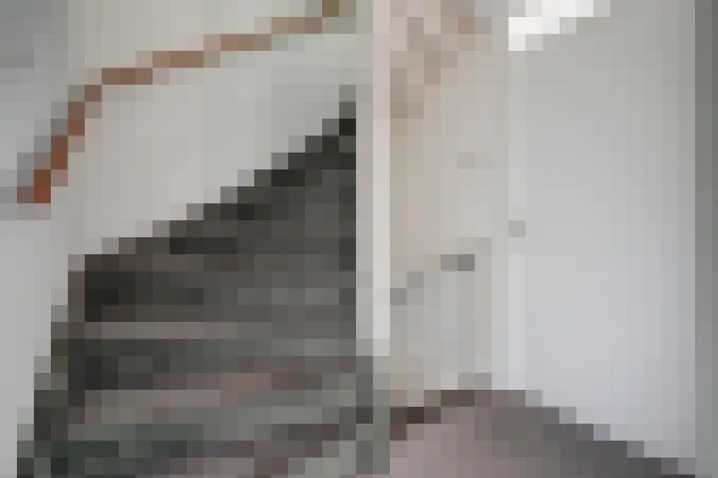 Scholekster 14 De Lier thumbnail 11