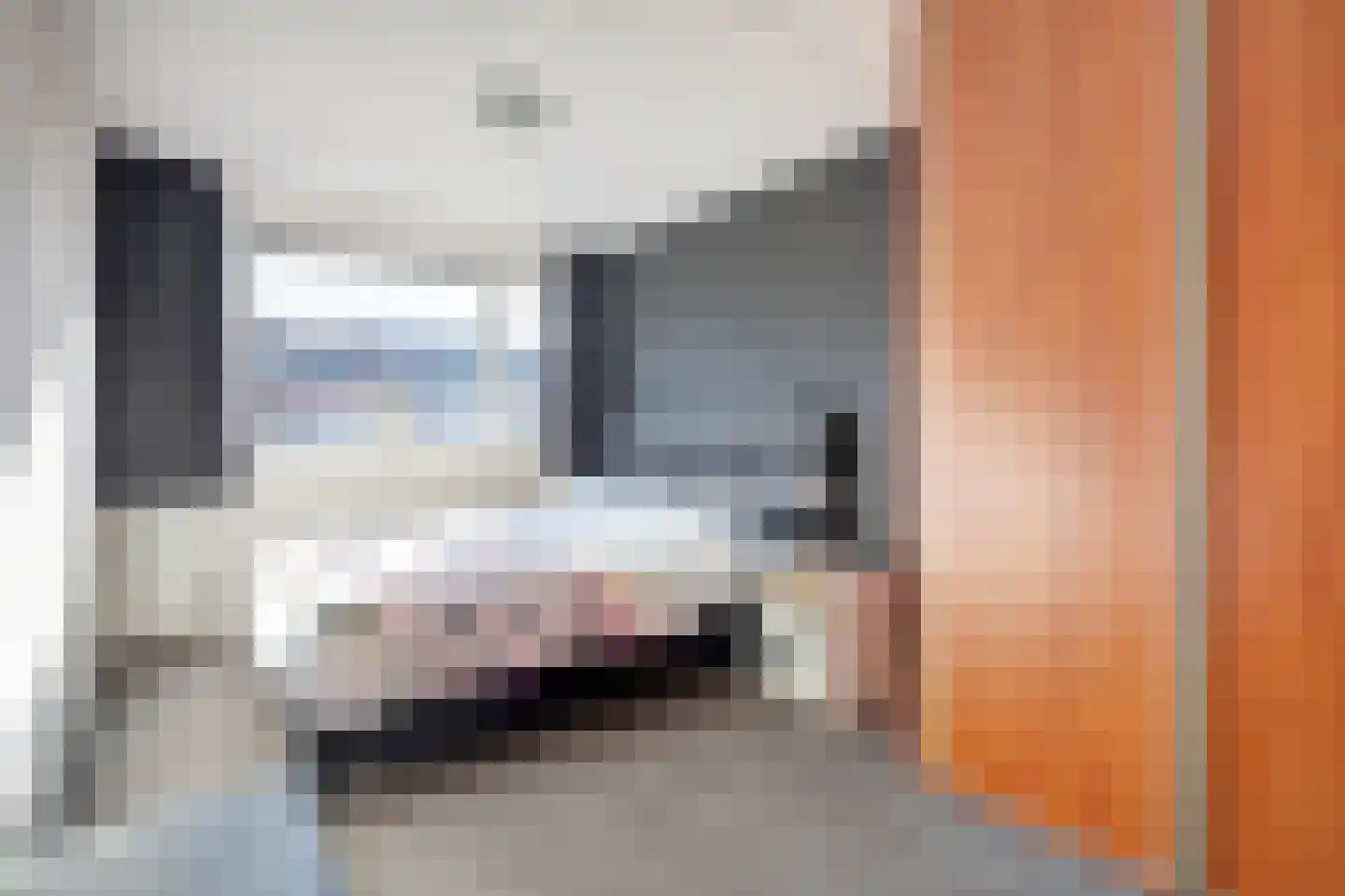 Scholekster 14 De Lier thumbnail 12