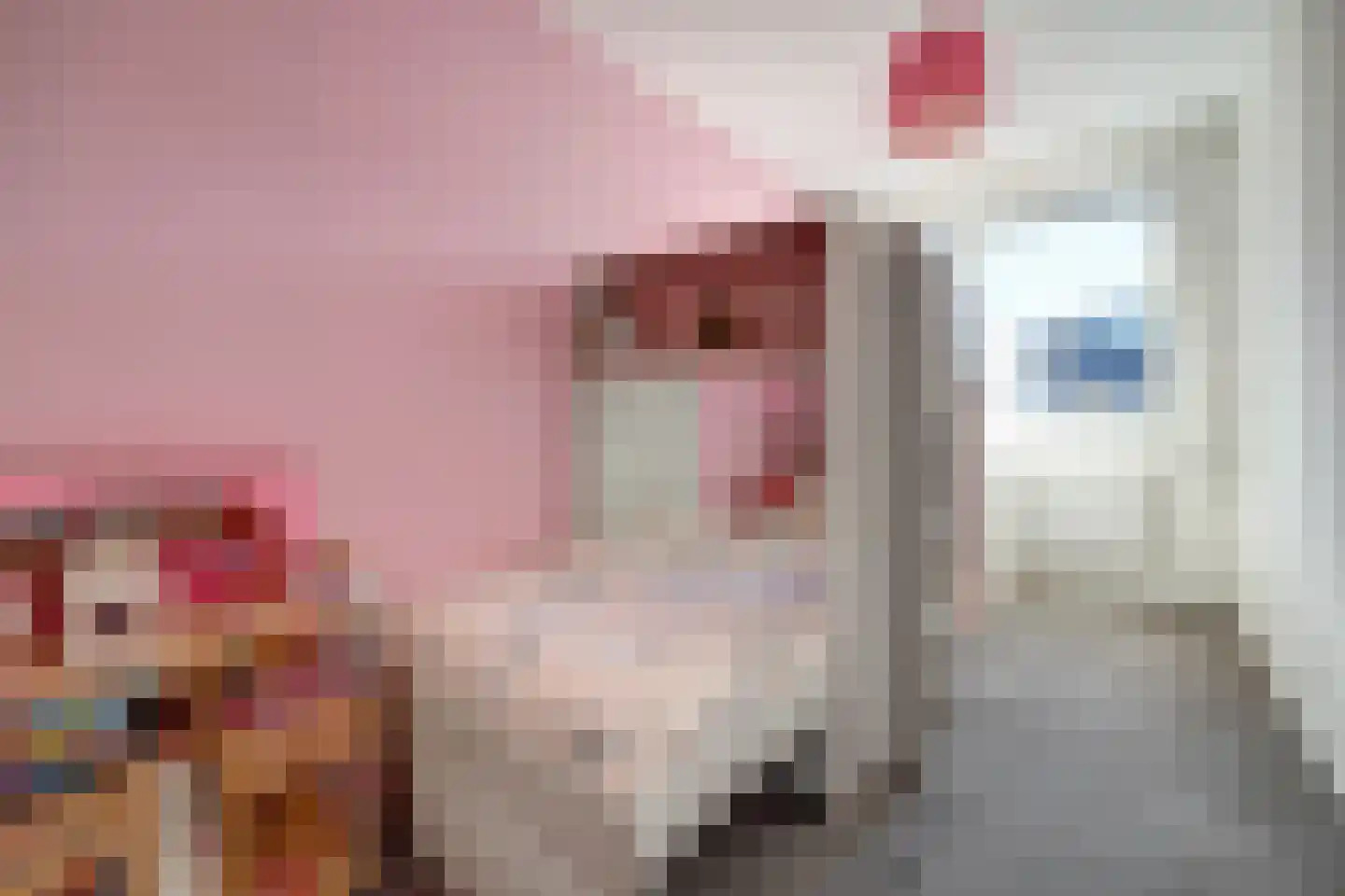Scholekster 14 De Lier thumbnail 14