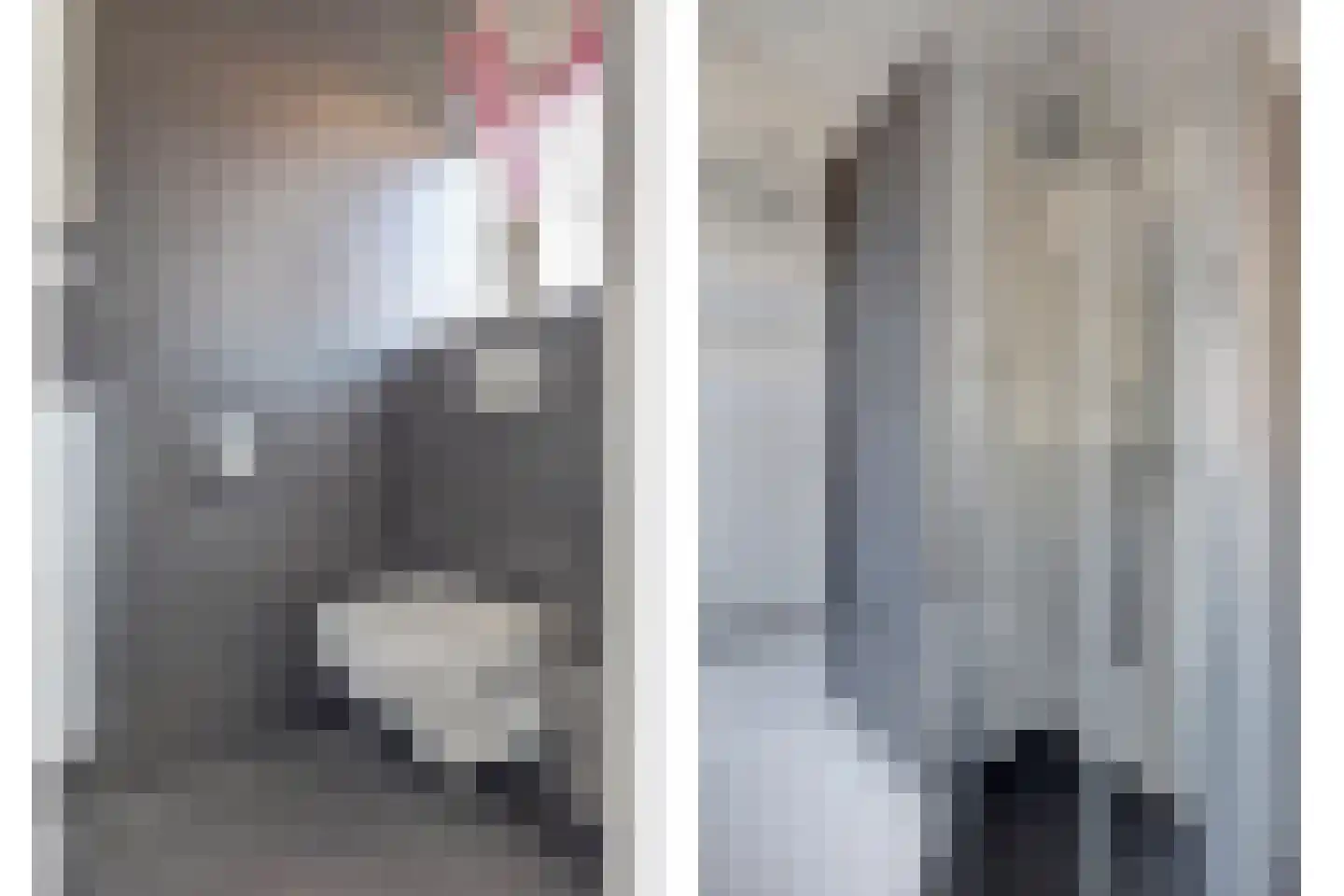 Scholekster 14 De Lier thumbnail 15
