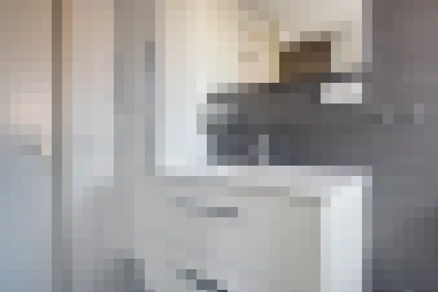 Scholekster 14 De Lier thumbnail 17