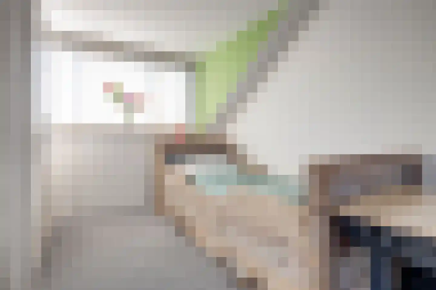Scholekster 14 De Lier thumbnail 21