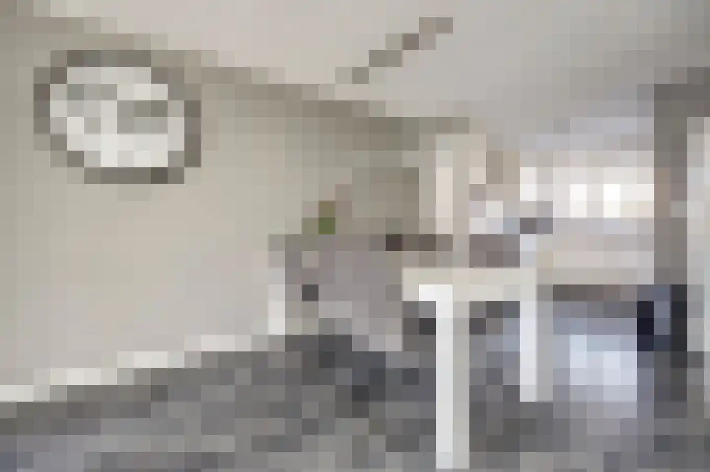 Scholekster 14 De Lier thumbnail 4
