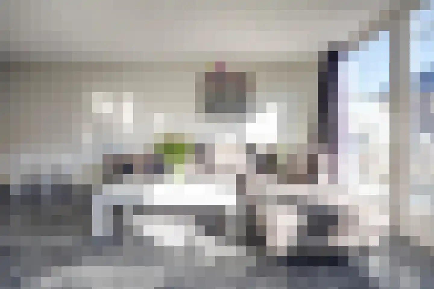 Scholekster 14 De Lier thumbnail 5