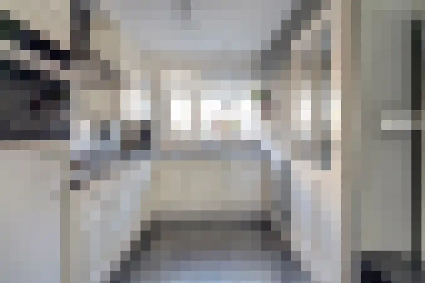 Scholekster 14 De Lier thumbnail 6