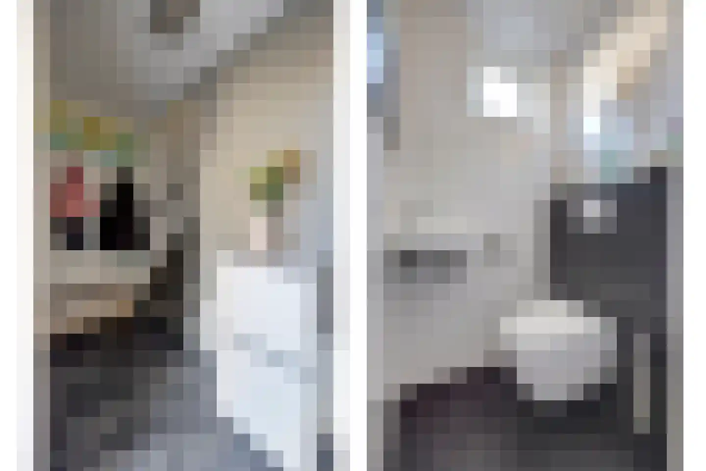 Scholekster 14 De Lier thumbnail 7