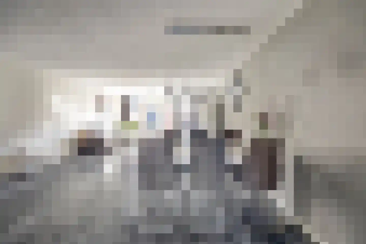 Scholekster 14 De Lier thumbnail 9