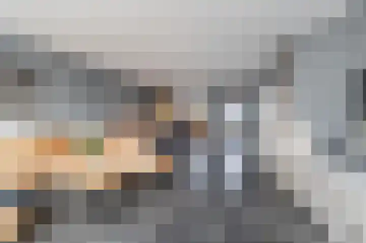 Scholekster 15 Noordwijk thumbnail 10