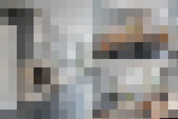 Scholekster 15 Noordwijk thumbnail 13