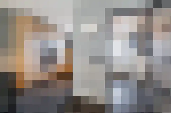 Scholekster 15 Noordwijk thumbnail 14