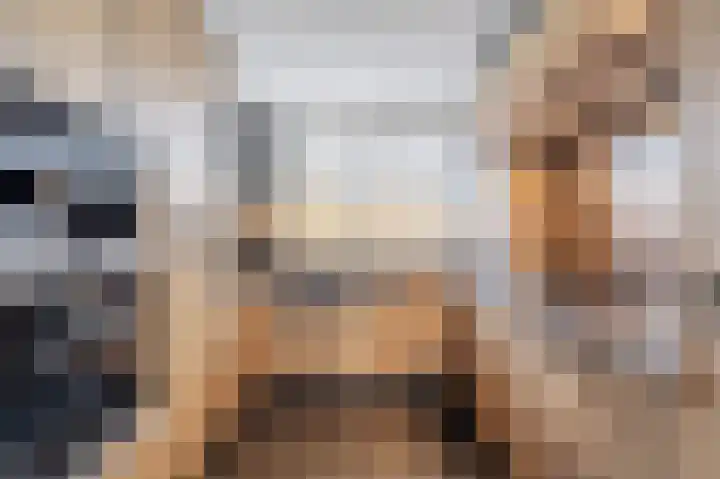 Scholekster 15 Noordwijk thumbnail 16