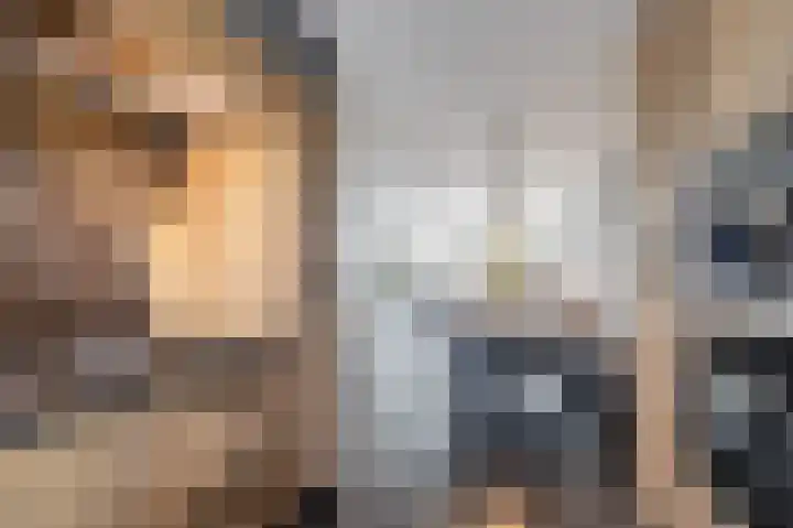 Scholekster 15 Noordwijk thumbnail 17