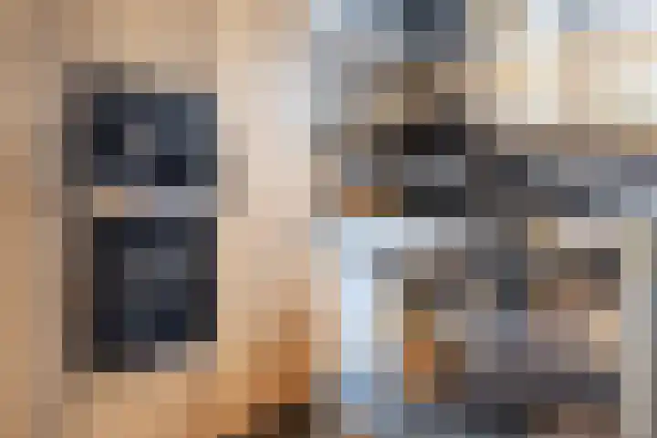 Scholekster 15 Noordwijk thumbnail 18