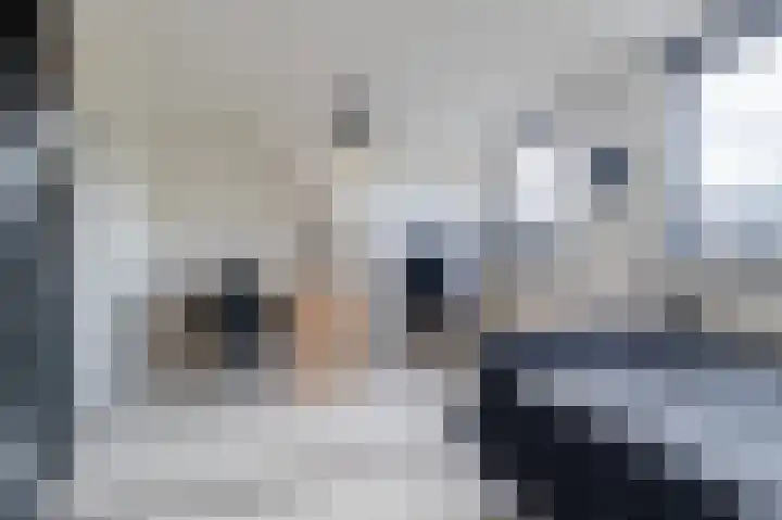 Scholekster 15 Noordwijk thumbnail 20