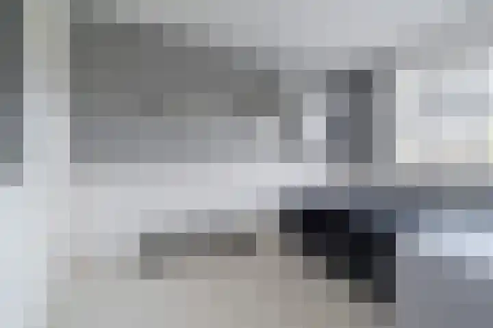 Scholekster 15 Noordwijk thumbnail 22