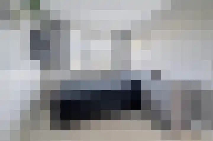 Scholekster 15 Noordwijk thumbnail 23