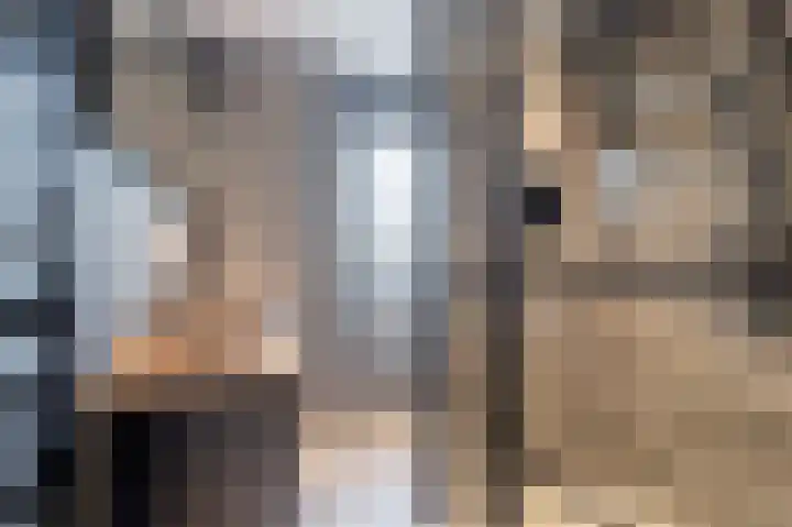 Scholekster 15 Noordwijk thumbnail 24